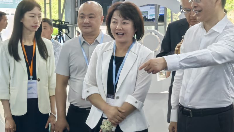汽车保养用品分类及价格解析：如何选择合适的产品